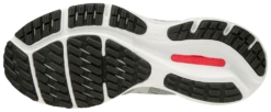 Mizuno Women’s Wave Rider 24 (9R0A - Lunar Rock/Nimbus Cloud) -Fashion Shoes 411228 9R0A 02